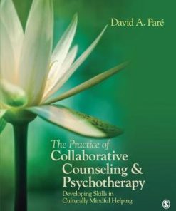 The Practice Of Collaborative Counseling Psychotherapy Developing Skills In Culturally Mindful Helping