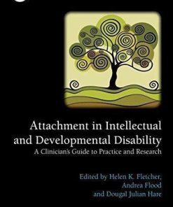 Attachment In Intellectual And Developmental Disability A Clinicians Guide To Research And Practice