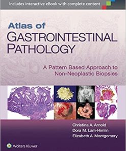 Atlas Of Gastrointestinal Pathology A Pattern Based Approach To Non Neoplastic Biopsies