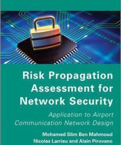 Risk Propagation Assessment For Network Security