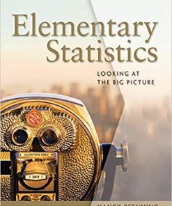 Elementary Statistics Looking At The Big Picture