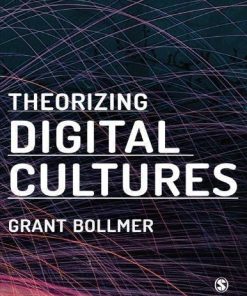 Theorizing Digital Cultures
