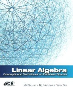 Linear Algebra Concepts And Techniques On Euclidean Spaces