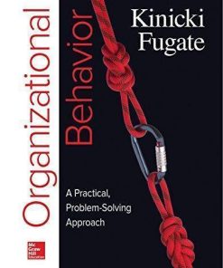 Organizational Behavior A Practical Problem Solving Approach