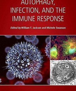Autophagy Infection And The Immune Response