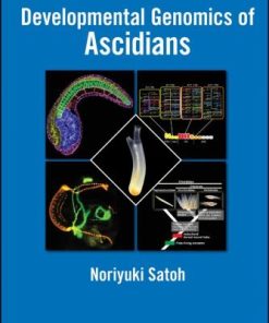 Developmental Genomics Of Ascidians