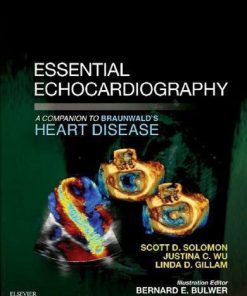 Essential Echocardiography A Companion To Braunwalds Heart Disease