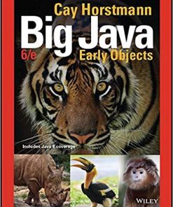 Big Java Early Objects 6Th
