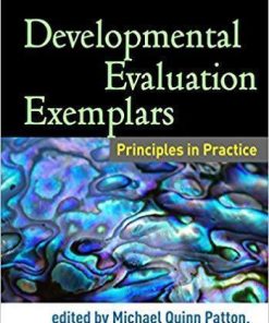 Developmental Evaluation Exemplars Principles In Practice