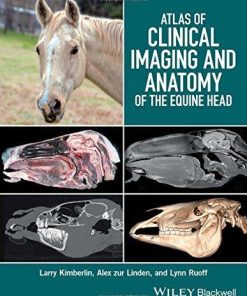 Atlas Of Clinical Imaging And Anatomy Of The Equine Head